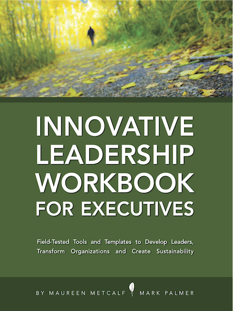 Book Cover: Innovative Leadership Workbook for Executives