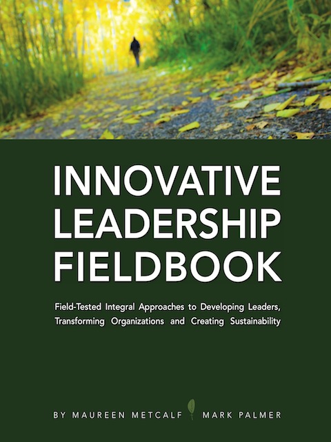 Book Cover: Innovative Leadership Fieldbook